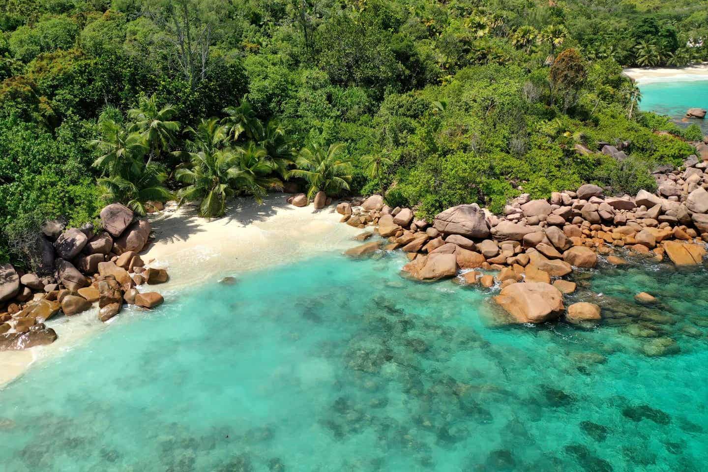 Romantische Zweisamkeit bei Ihrer Strandhochzeit auf den Seychellen: Anse Lazio