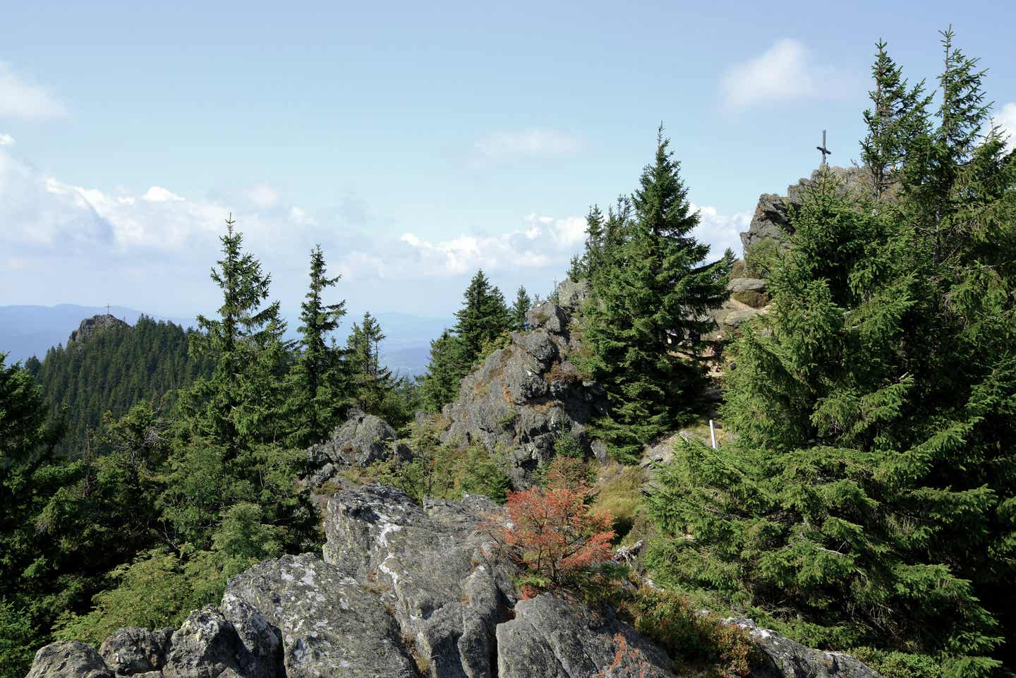 Bayerischer Wald Urlaub mit DERTOUR. Blick vom Berg Grosser Osser im Bayerischen Wald