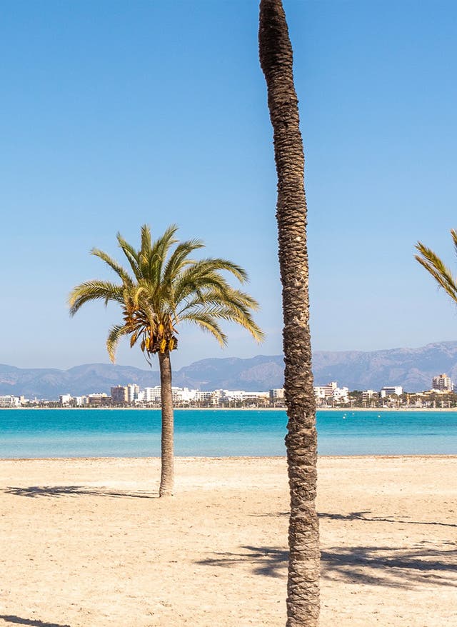 El Arenal Urlaub Der Strand von El Arenal