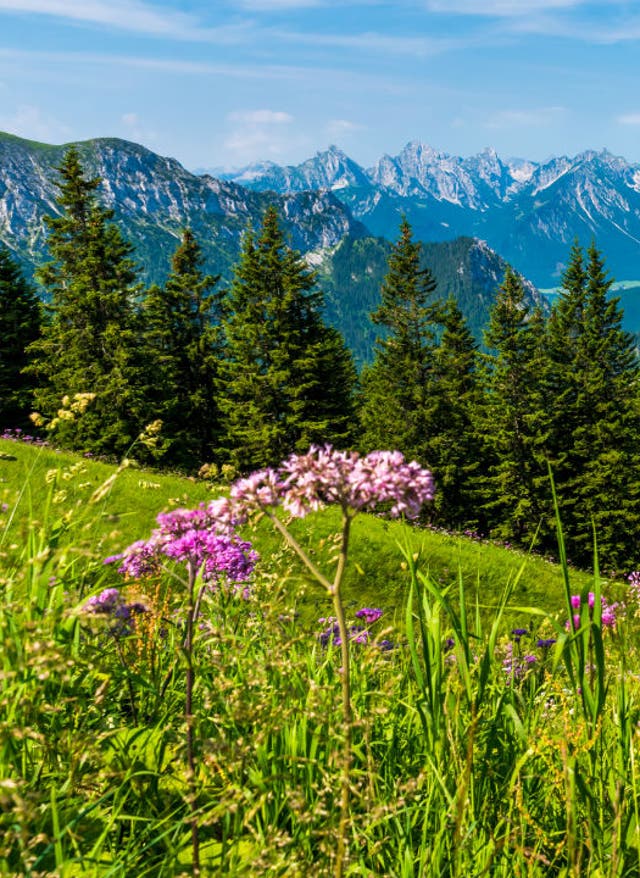 Westeuropa Urlaub