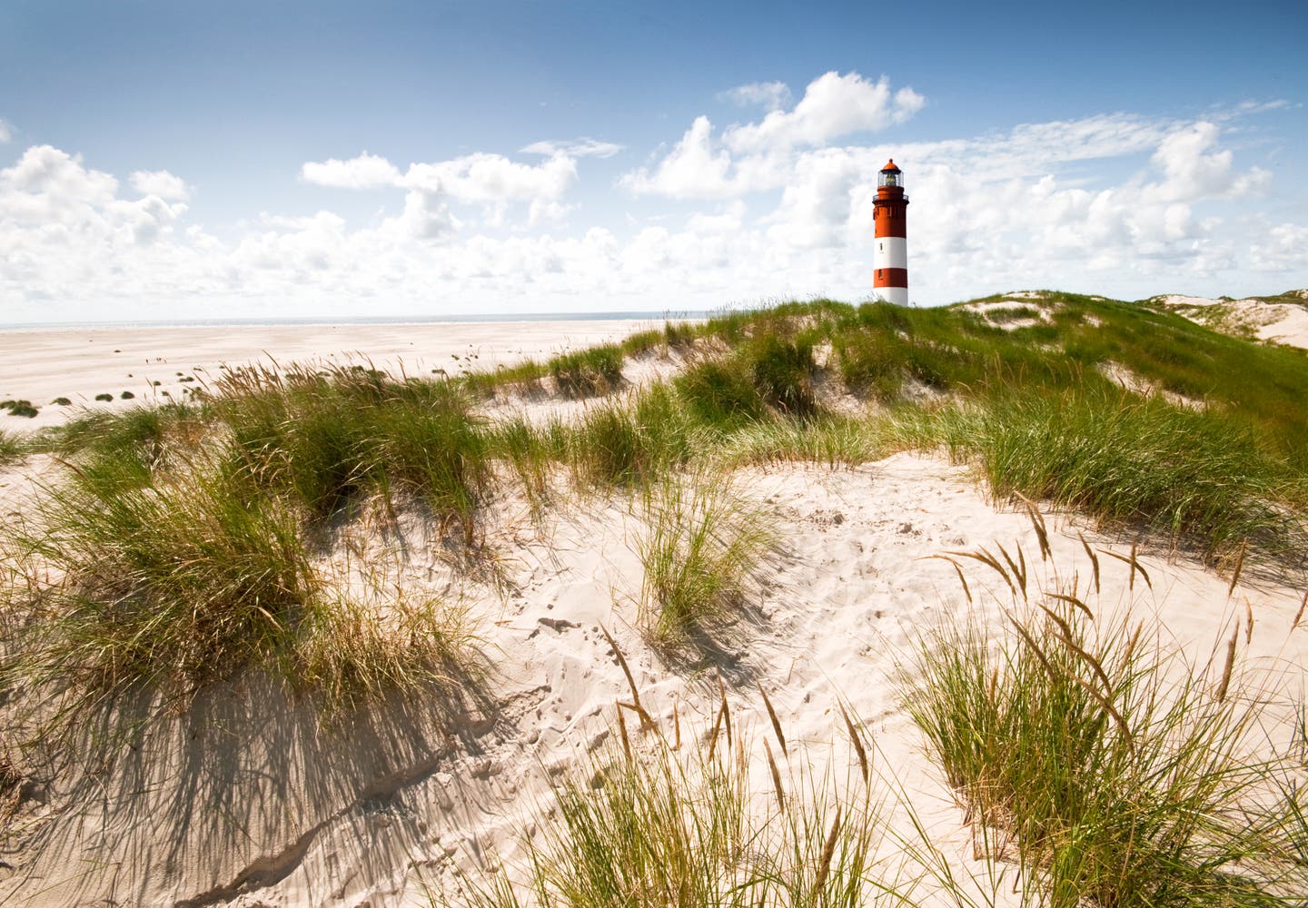 Typischer rot-weißer Leuchtturm ragt aus den grasbewachsenen Dünen auf der Insel Amrum hervor