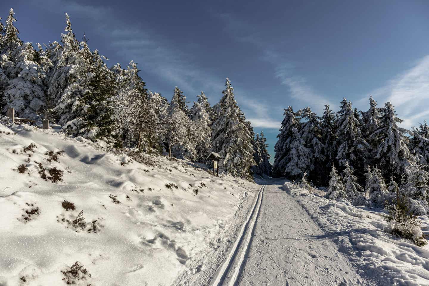 Thüringer Wald Urlaub mit DERTOUR. Verschneiter Wald bei Oberhof im Thüringer Wald