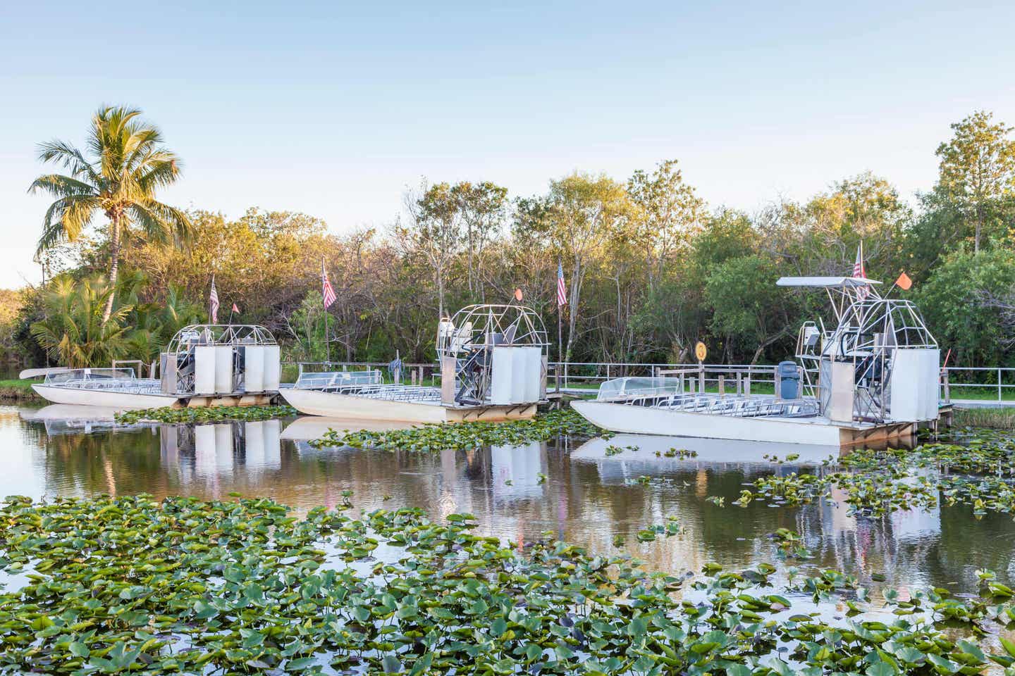 Luftkissenboote in den Everglades