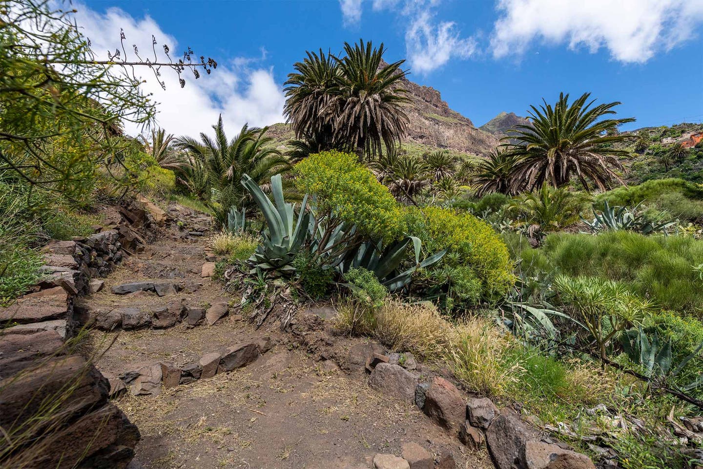 Kananren Masca Schlucht Fussweg