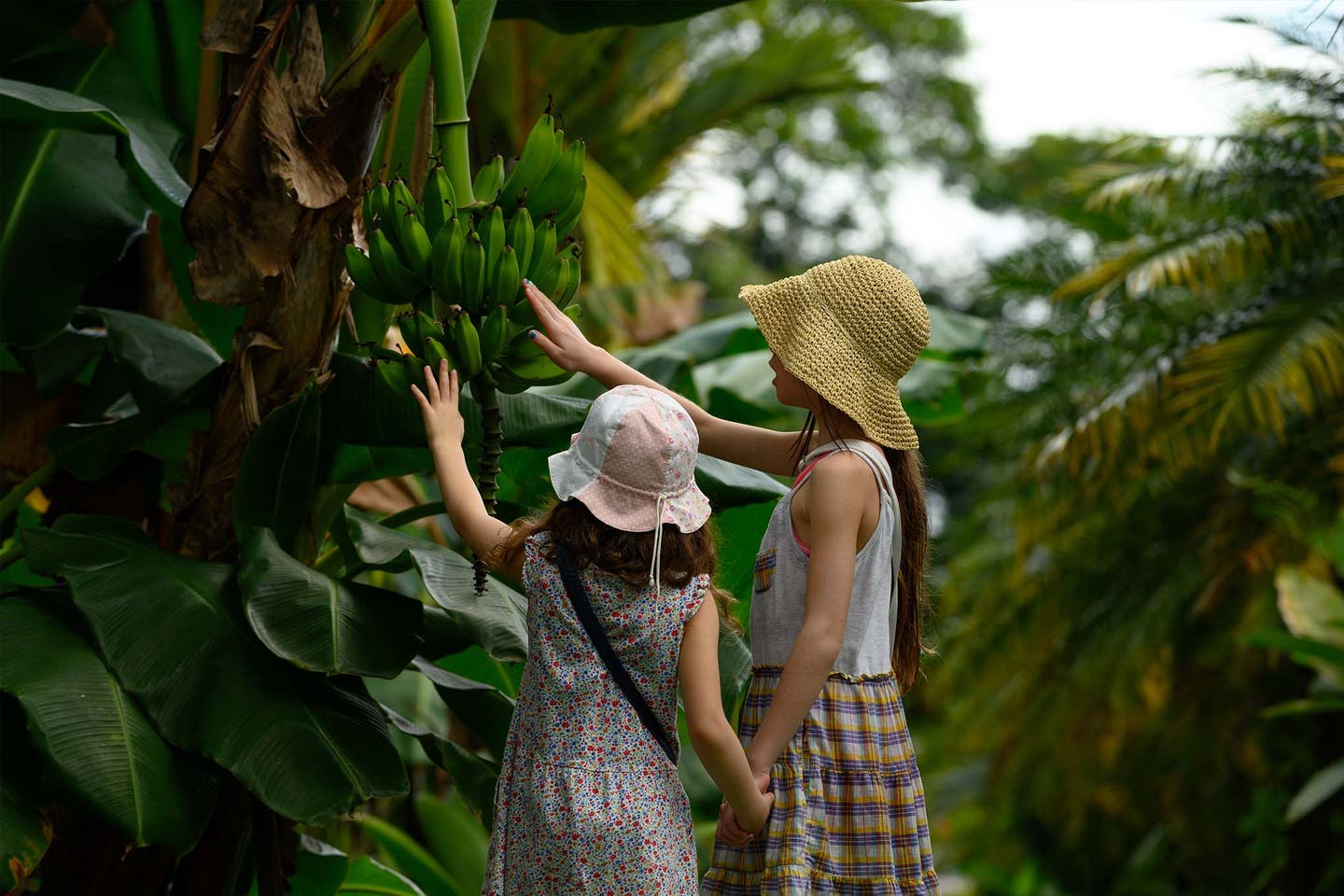 Mallorca mit Kindern: Abenteuer in der mediterranen Natur