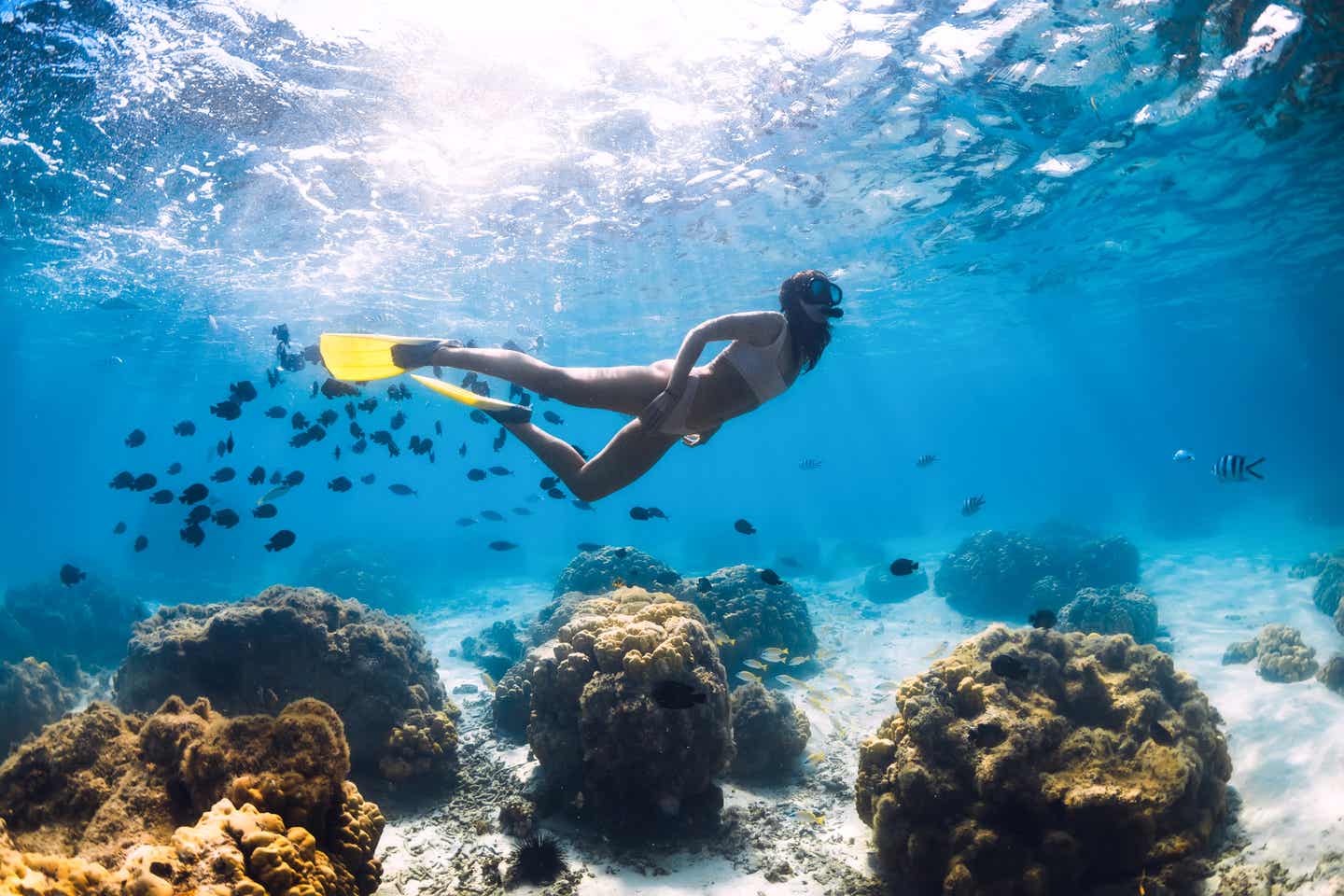 Tauchen auf Mauritius