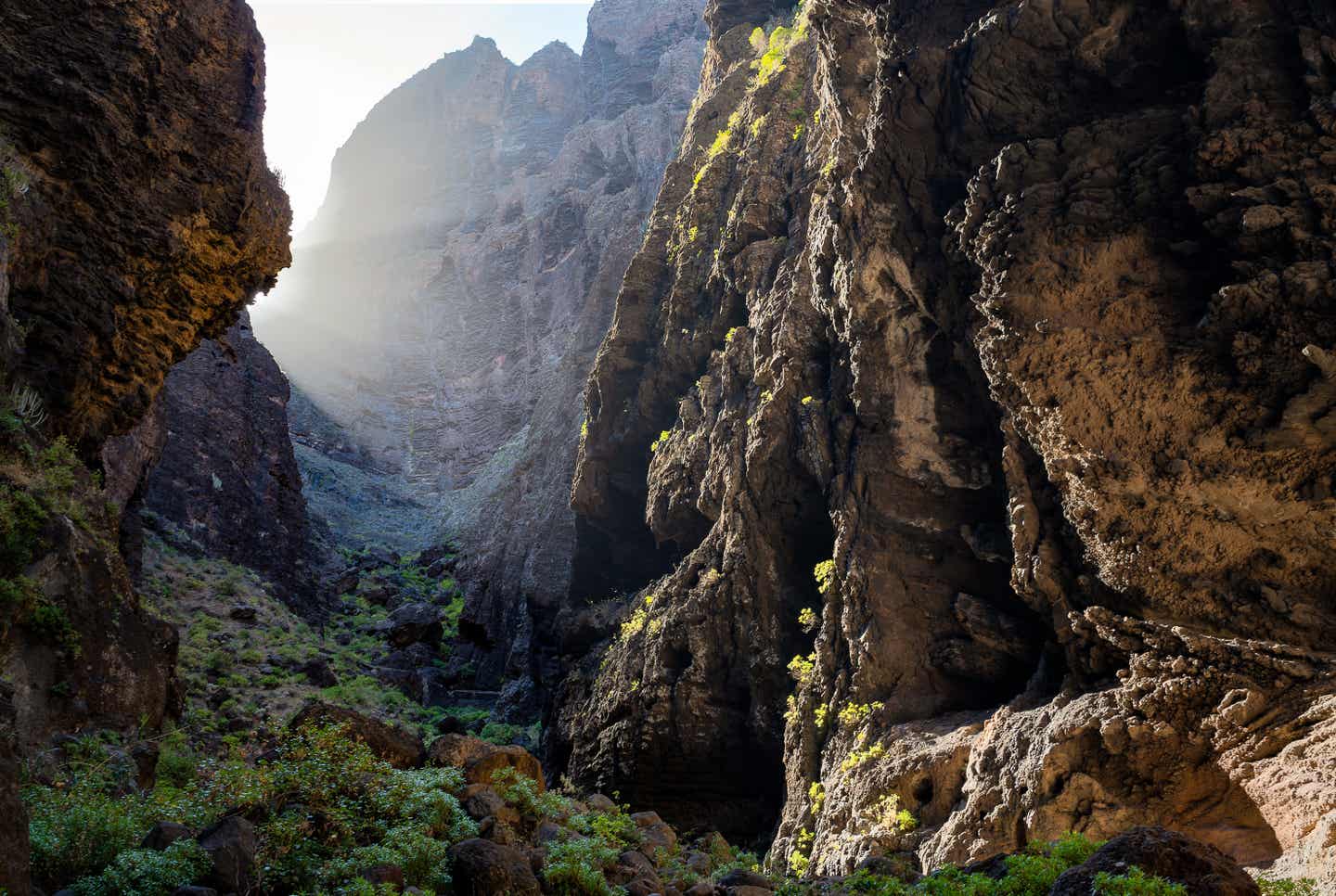 Masca Schlucht: Masca Gorge Trail, Teneriffa, Kanarische Inseln