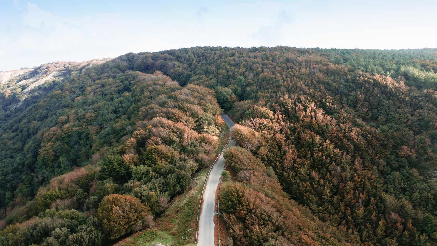 Italien Natur – dichte Bergwälder Aspromonte in Kalabrien