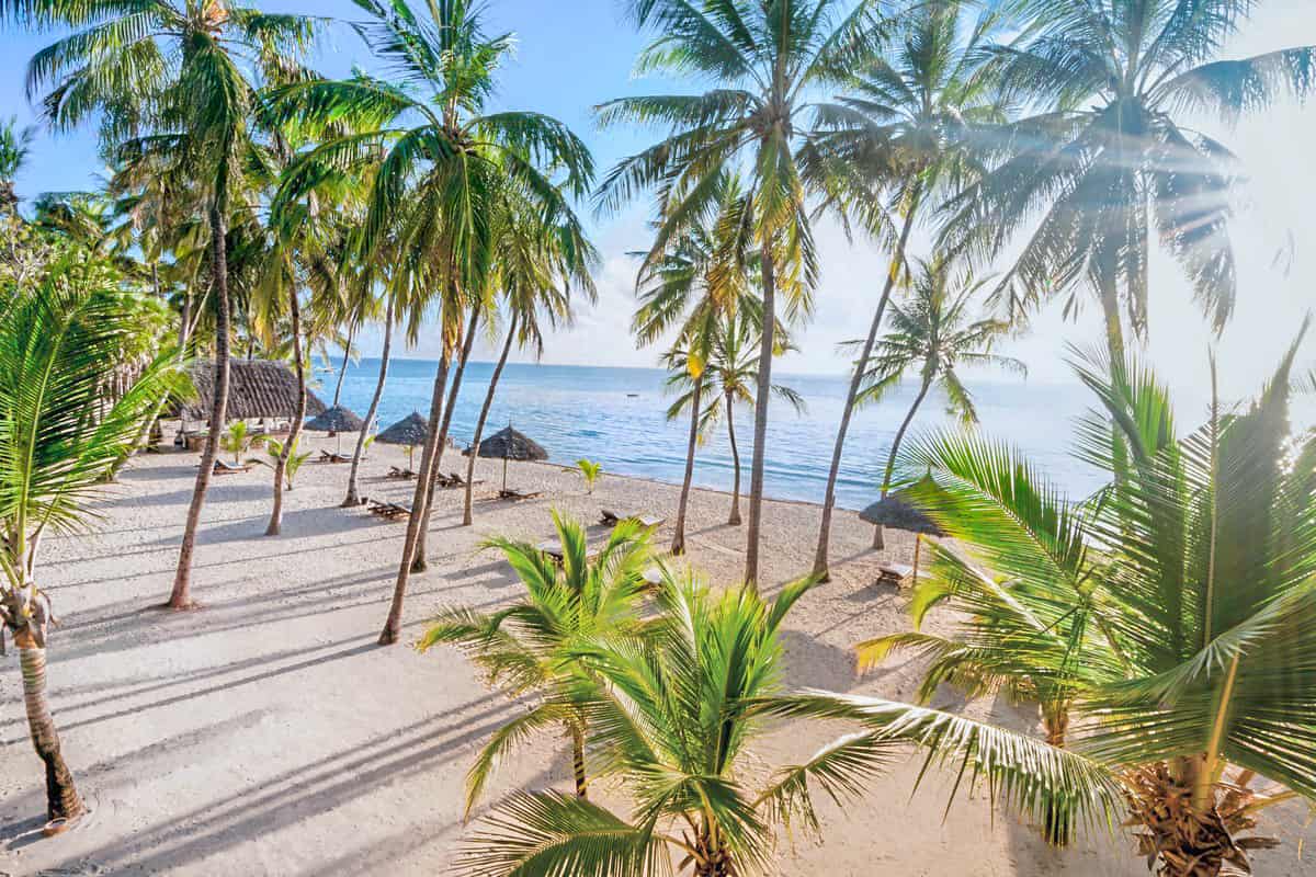 Blick auf einen Strand an einem ananea Hotel in Afrika 