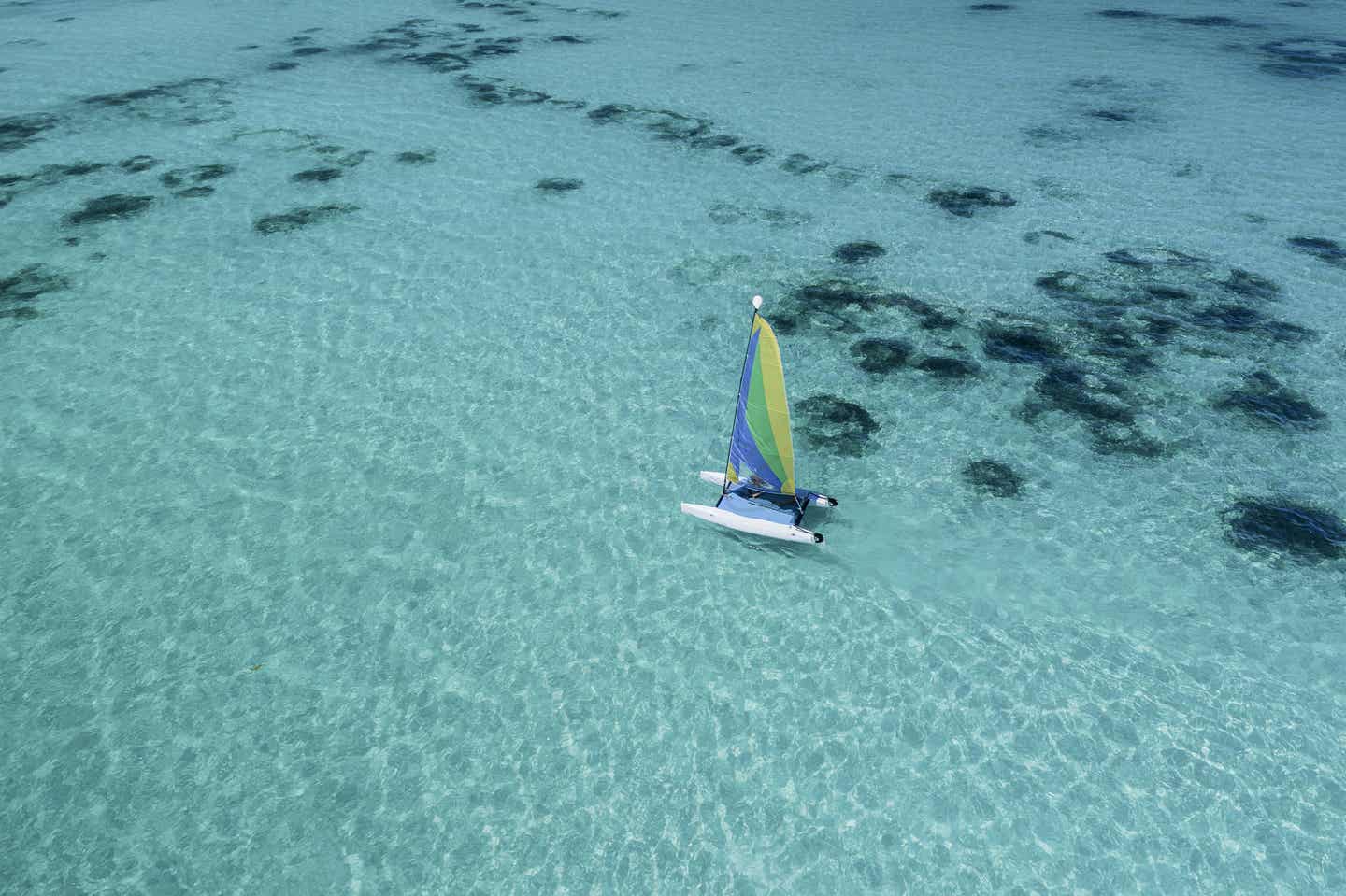 Punta Cana Urlaub mit DERTOUR. Katamaran segelt vor Punta Cana durch türkisblaues Wasser