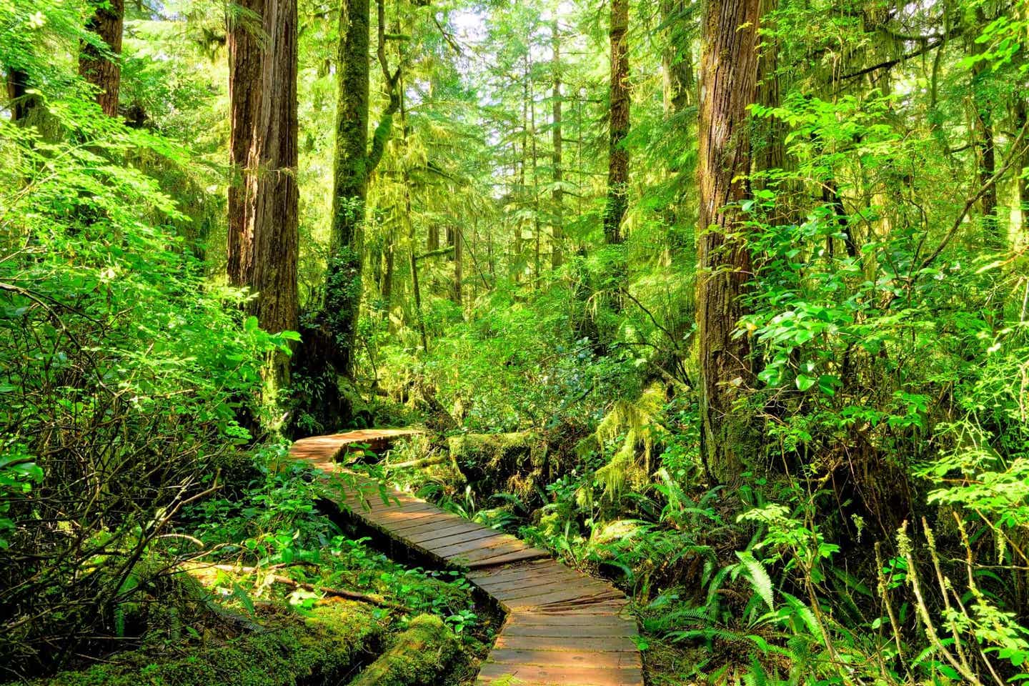 Vancouver Island: Pacific Rim National Park