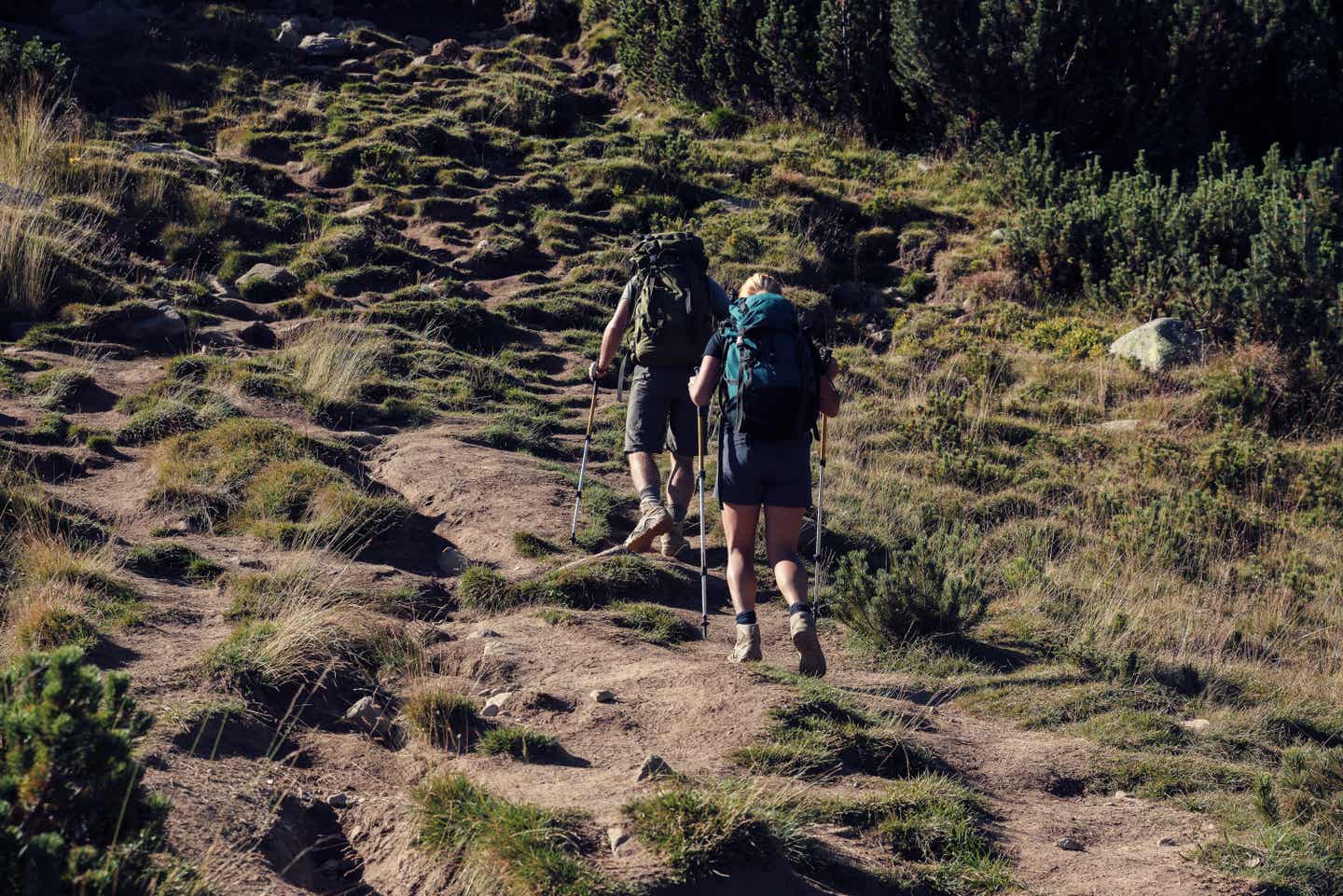 Bulgarien Urlaub mit DERTOUR. Paar bei einer Wanderung im Pirin Nationalpark