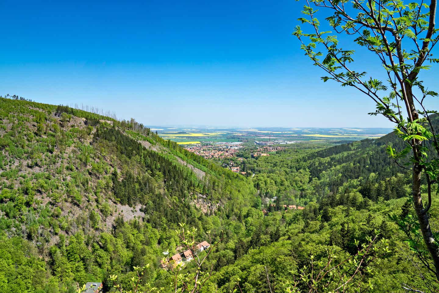 Familienurlaub Harz: Blick auf Ilsenburg im Harz mit blauem Himmel