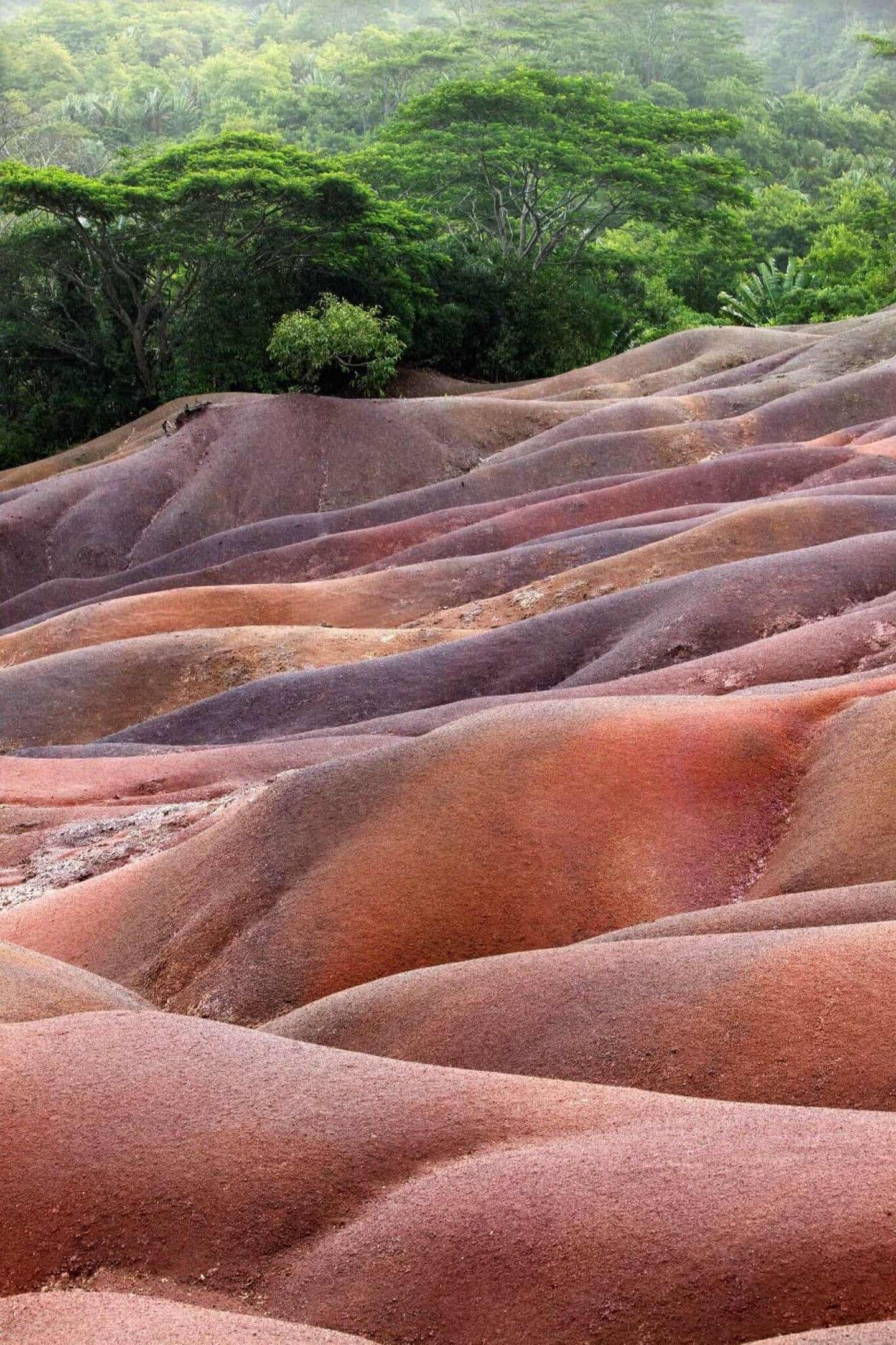 Charmarel Mauritius rote Erde 