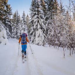Skihotels im Harz