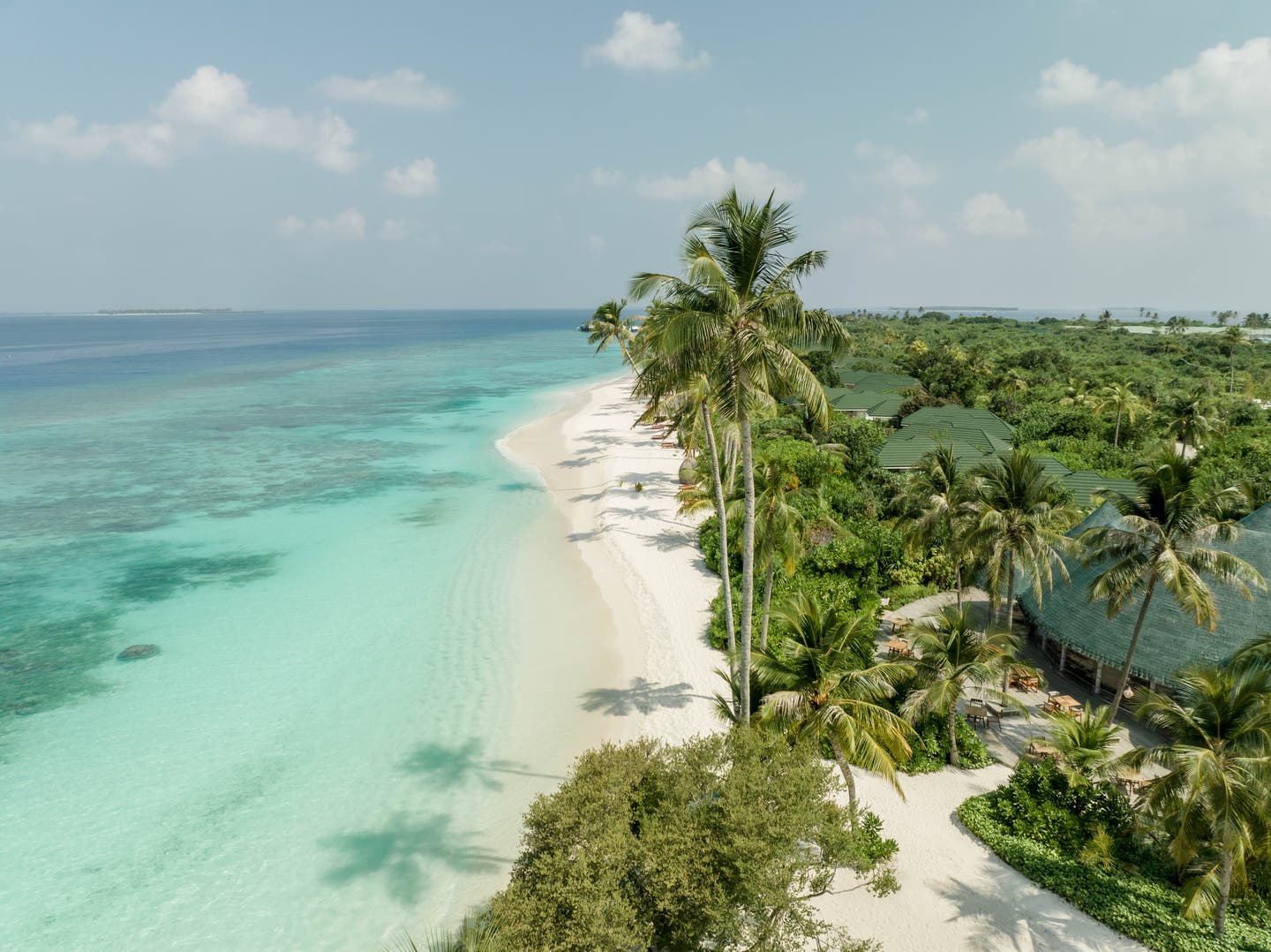 Strand aus Vorgelperspektive mit Meer und Palmen