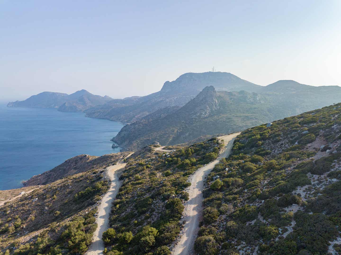 Kos Urlaub mit DERTOUR. Bäume am Strand von Kos bei Sonnenuntergang