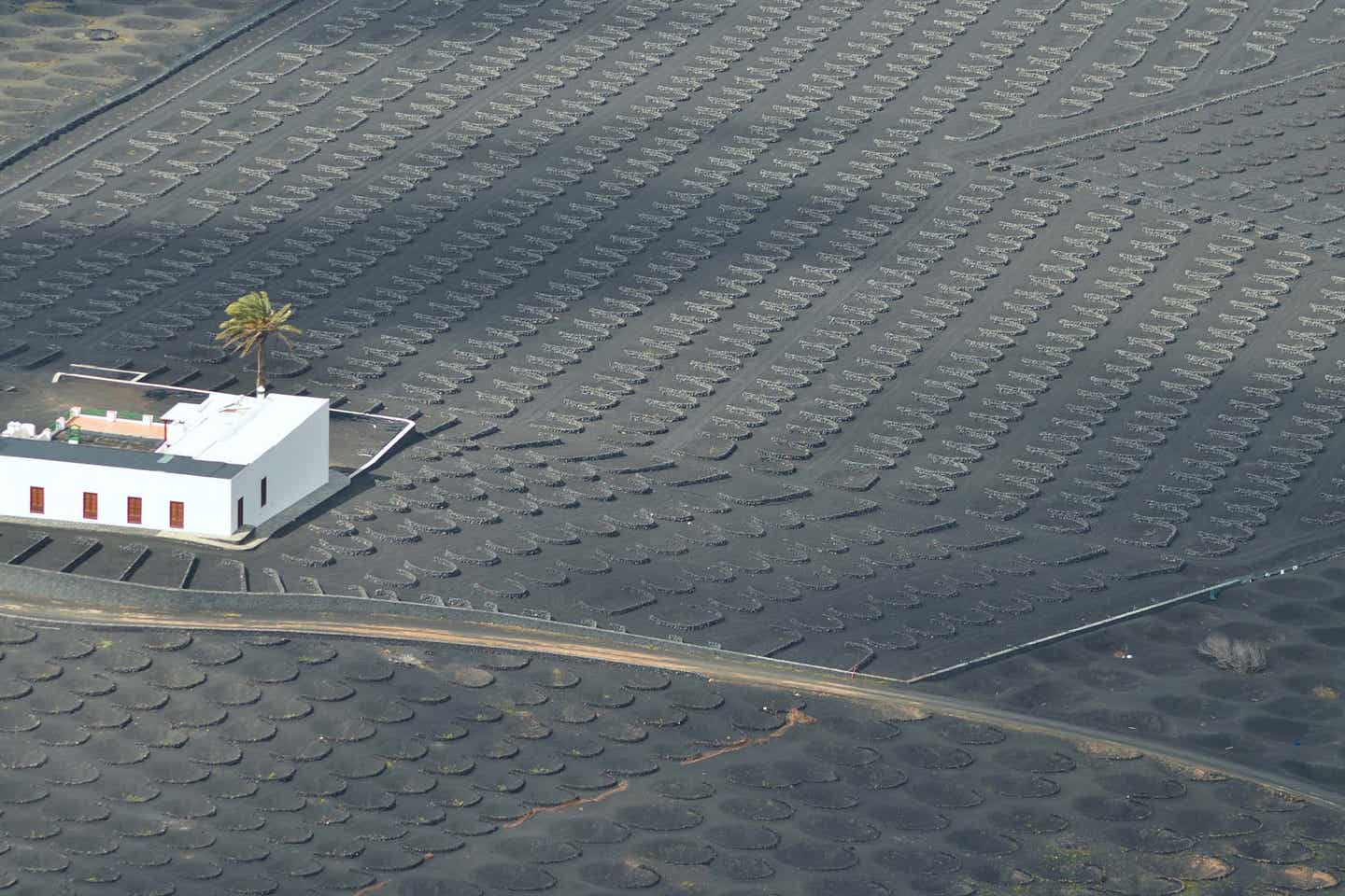 Las Palmas, La Geria – Weinbauboden