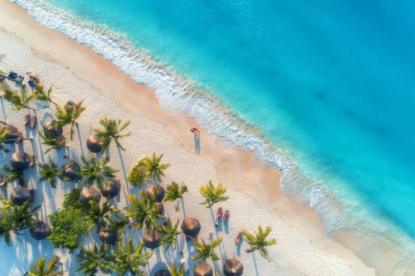 Tansania und Sansibar. Strand und Palmen auf Sansibar von oben.