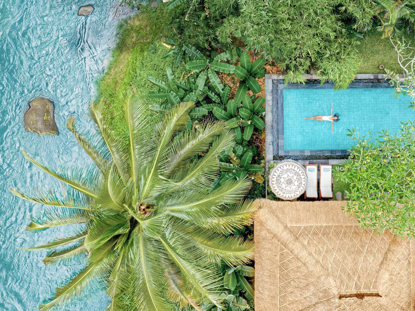Vogelperspektive auf Pool mit Frau schwimmend und grünen Palmen
