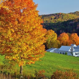 Hotel Vermont
