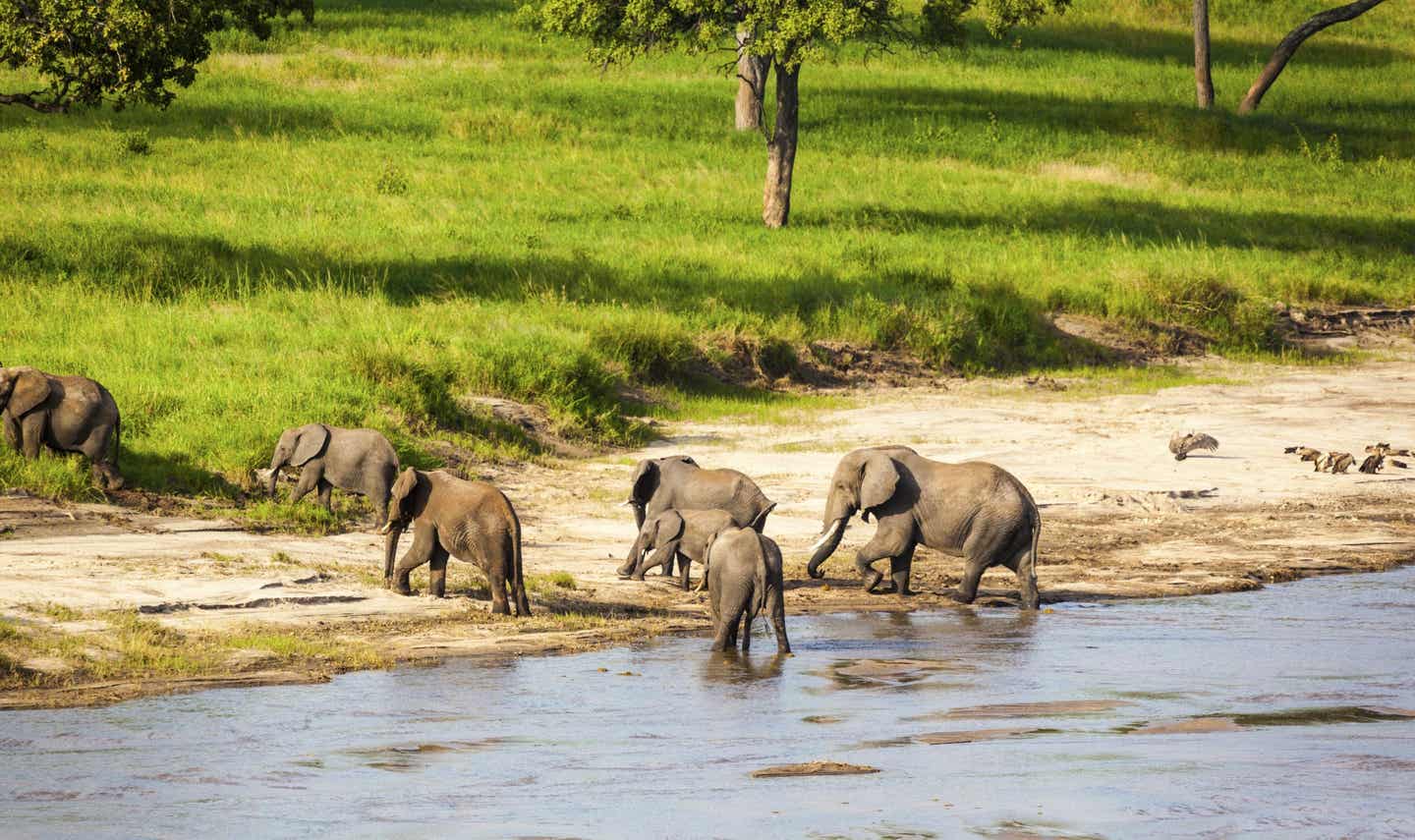Mitarbeiter-Tipp Südafrika. Elefanten an einem Wasserloch.