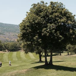 Italien-sizilien-golfplatz-jahhn-g-125914333.jpg
