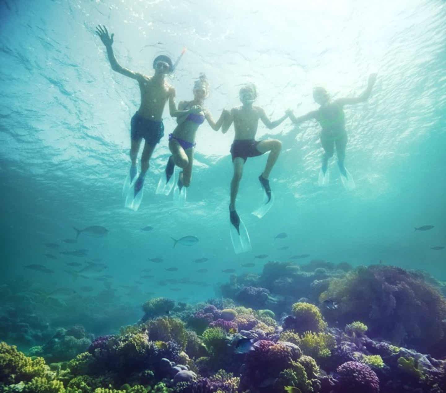 Ägypten Urlaub: Schnorcheln und Tauchen im Roten Meer