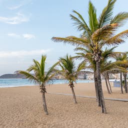 Pauschalreisen Gran Canaria