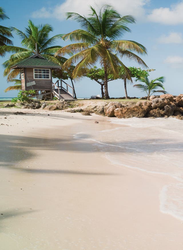 Tobago Urlaub Tobago Urlaub mit DERTOUR. Wellen branden an einen Strand Tobagos – eingerahmt von schwarzen Felsen und Regenwald
