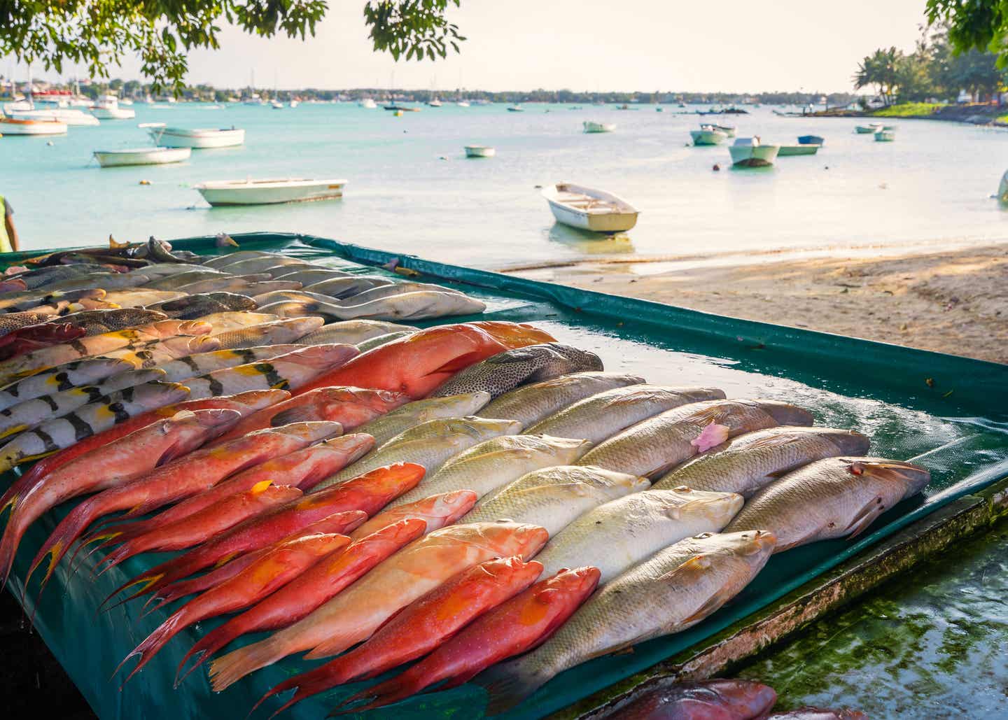 Fisch direkt am Strand von Mauritius