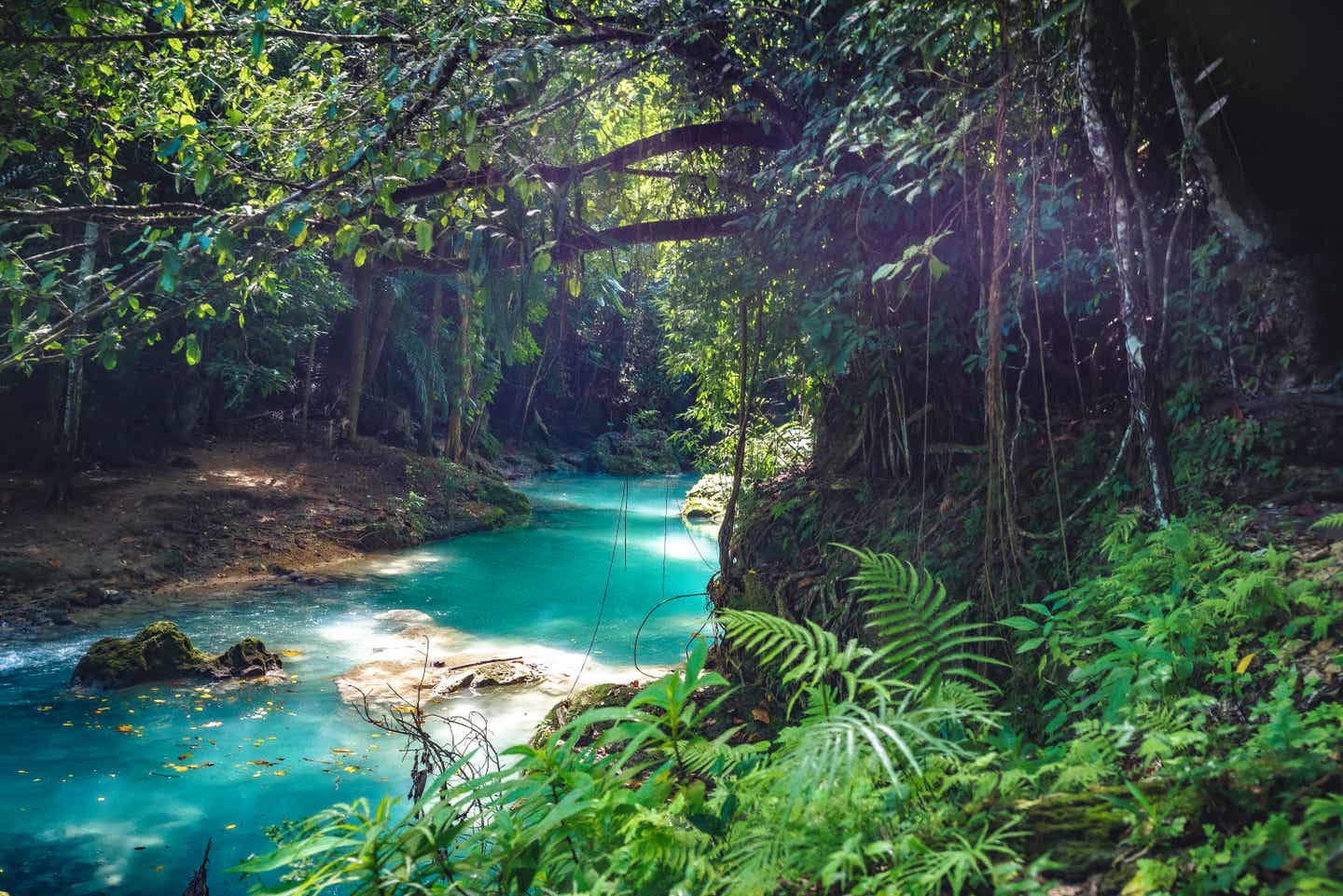 Schönste Inseln der Karibik: Blue Hole in Ochos Rios auf Jamaika