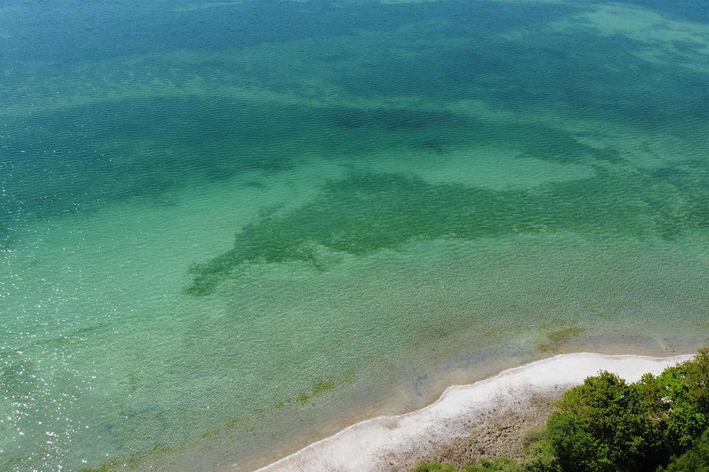 Panoramasicht auf das Blau des Bodensees