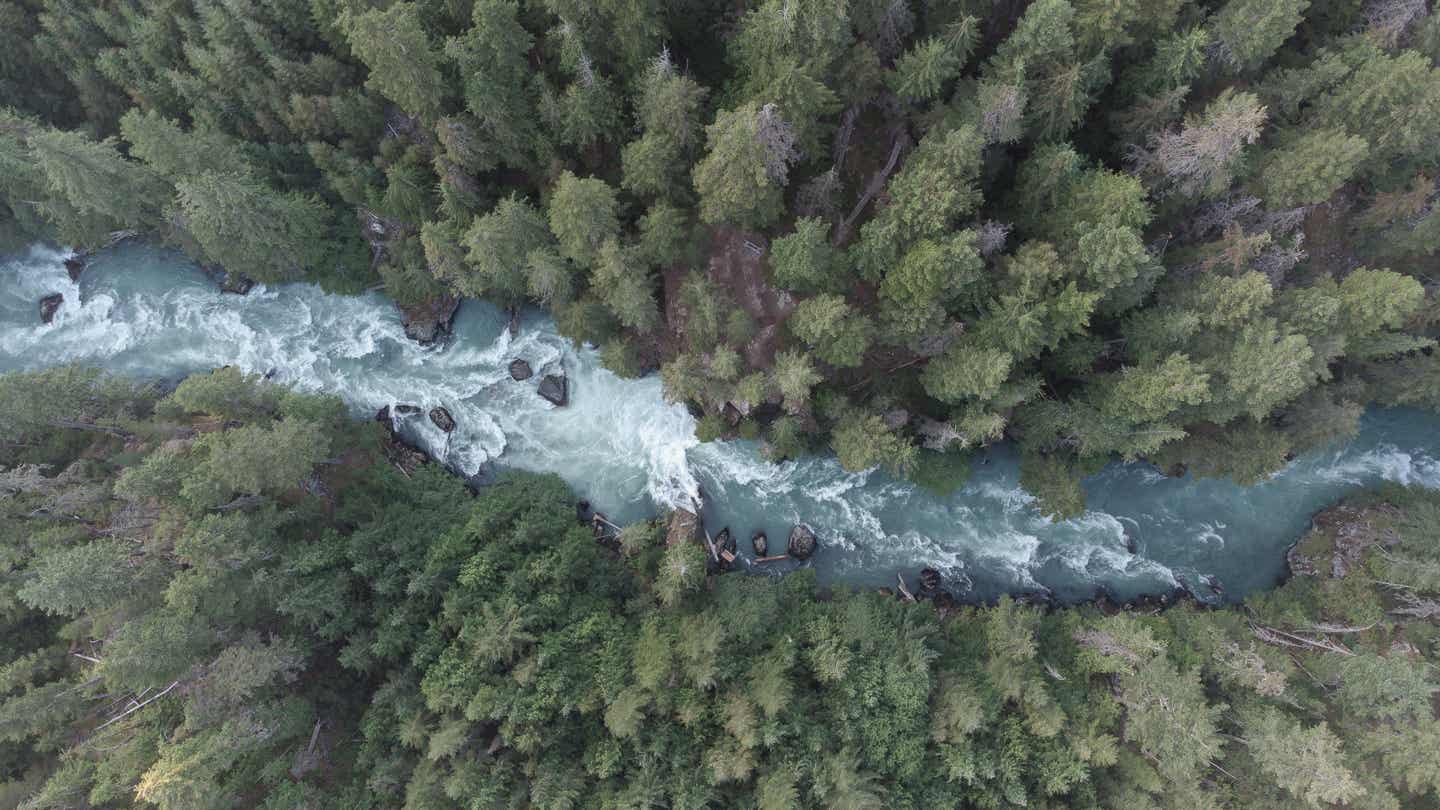 British Columbia Urlaub mit DERTOUR. Luftaufnahme des wilden Cheakamus River bei Whistler, British Columbia