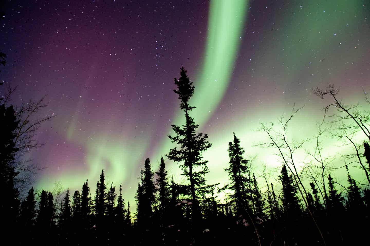 Nordlichter schillern in den unterschiedlichsten Farben