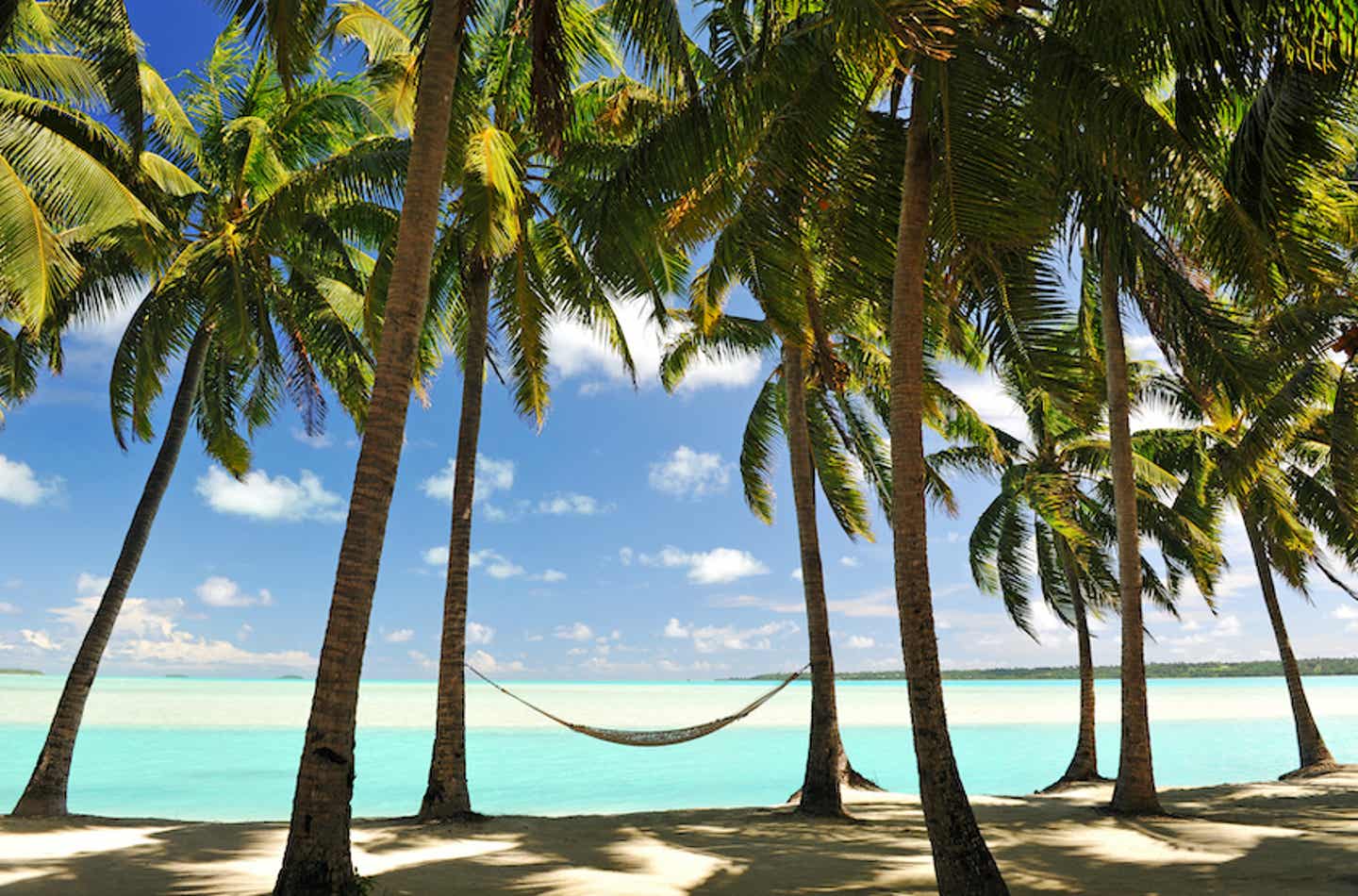 Eine Hängematte auf den Seychellen lädt zum Träumen ein