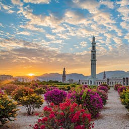 oman-grand-mosue-muscat-g-1084217578.jpg