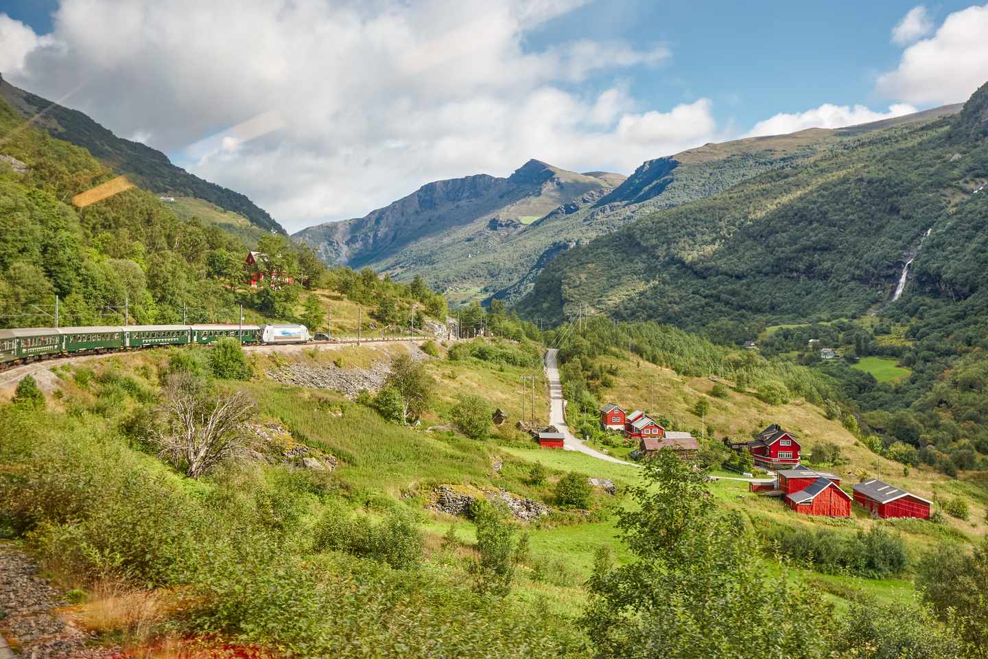 Zug in den Bergen Norwegens