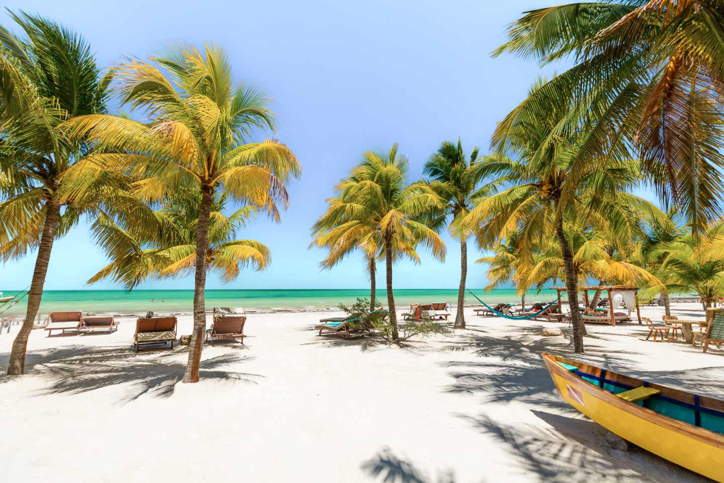 Ein Strand mit Palmen auf Holbox