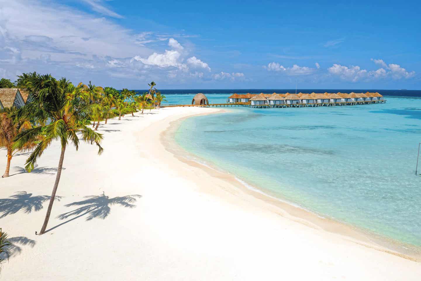 Ein mit Palmen umrahmter Strand auf den Malediven mit türkisblauem Wasser