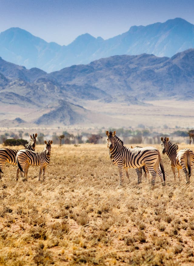 14 Nächte inkl. Flügen p. P. ab € 4.840 Wüstenstraße in Namibia