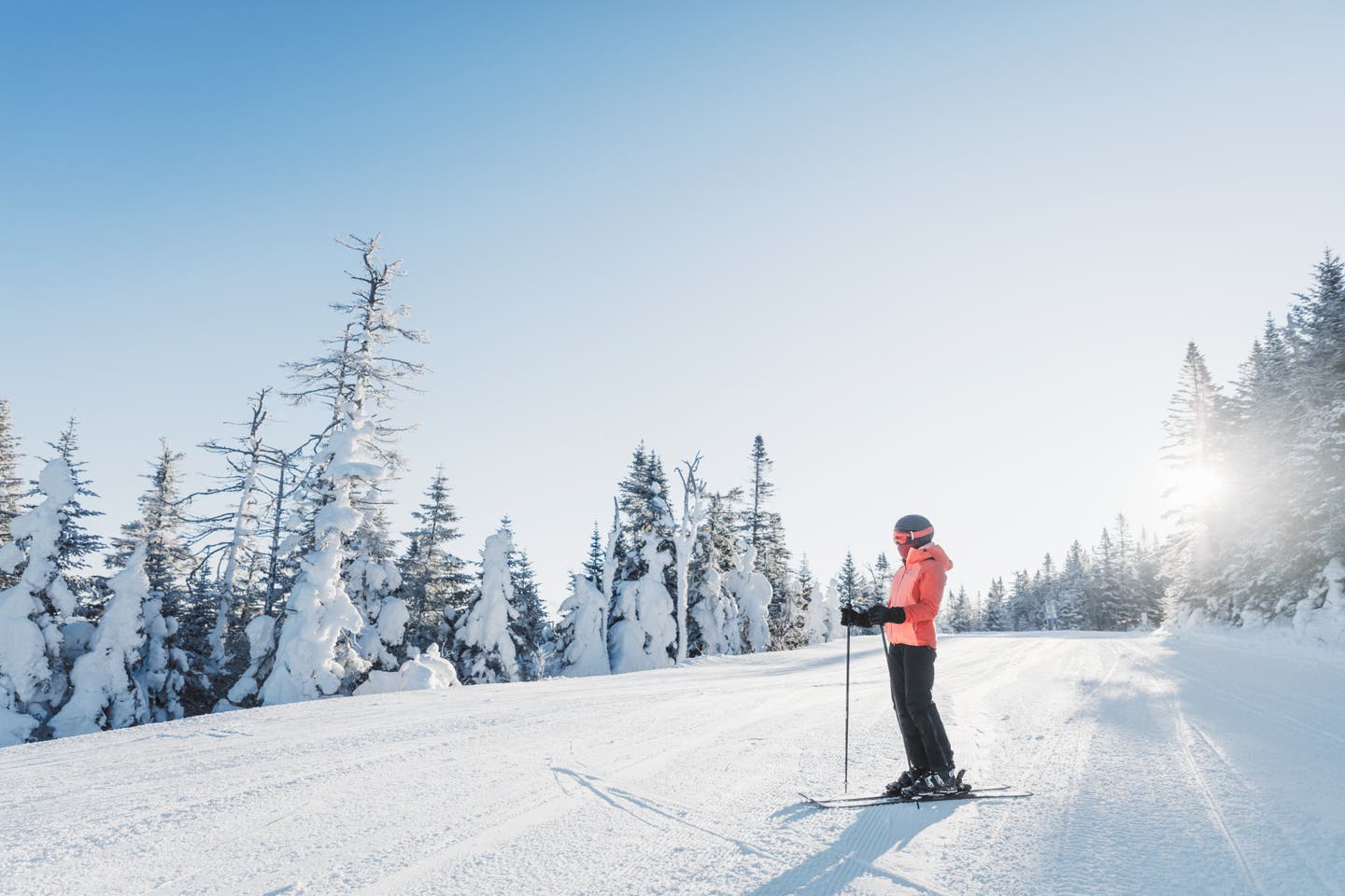 Eine Skifahrerin in roter Jacke auf einer leeren, von verschneiten Nadelbäumen eingerahmten Piste, an einem sonnigen, schönen Tag.