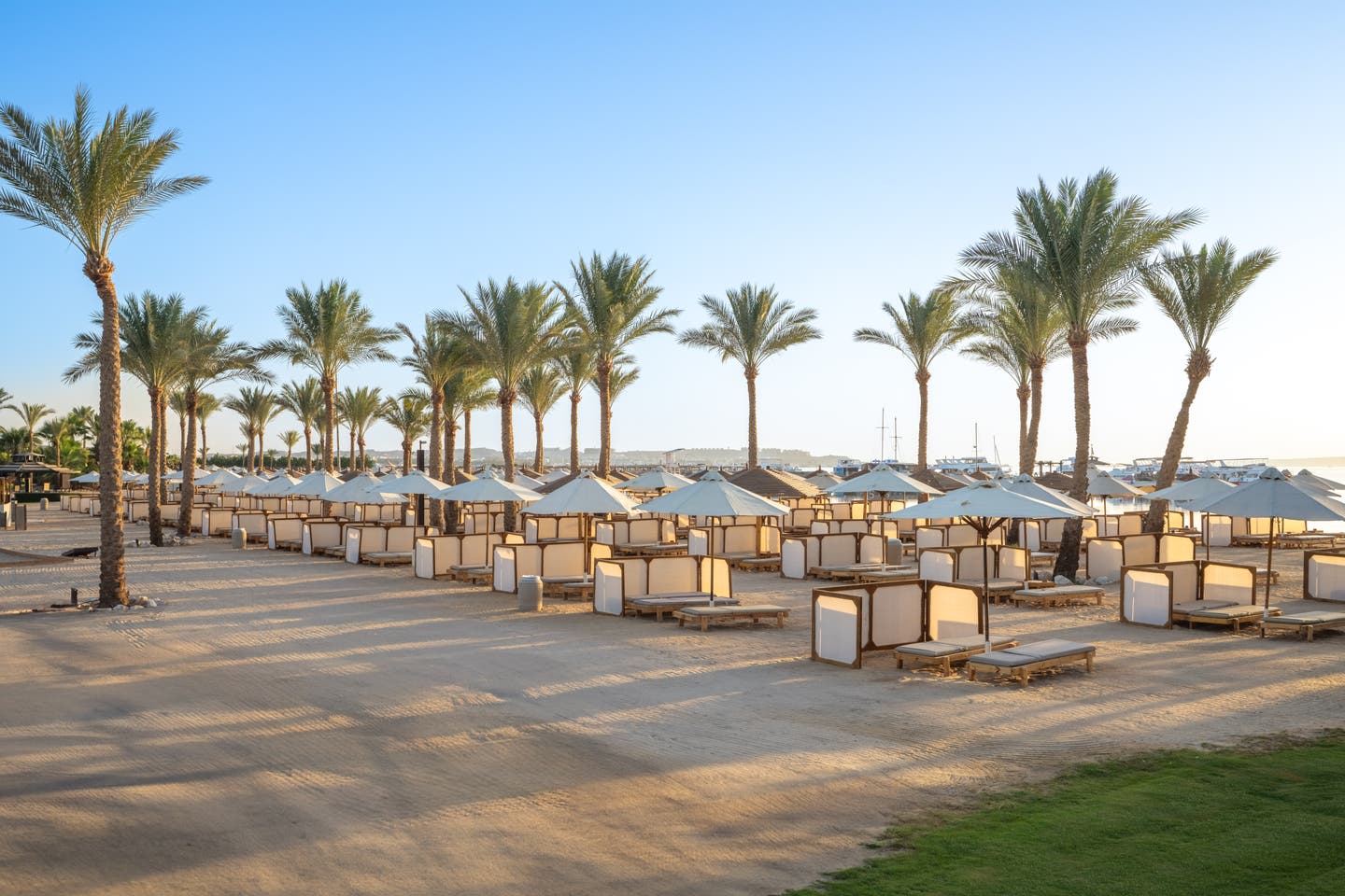 Strand des Hotels mit Palmen und Liegen