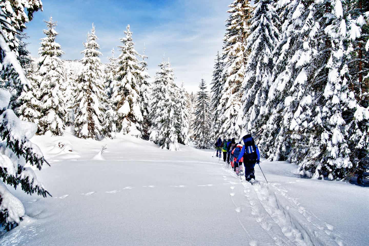 Schneewanderung in Kärnten