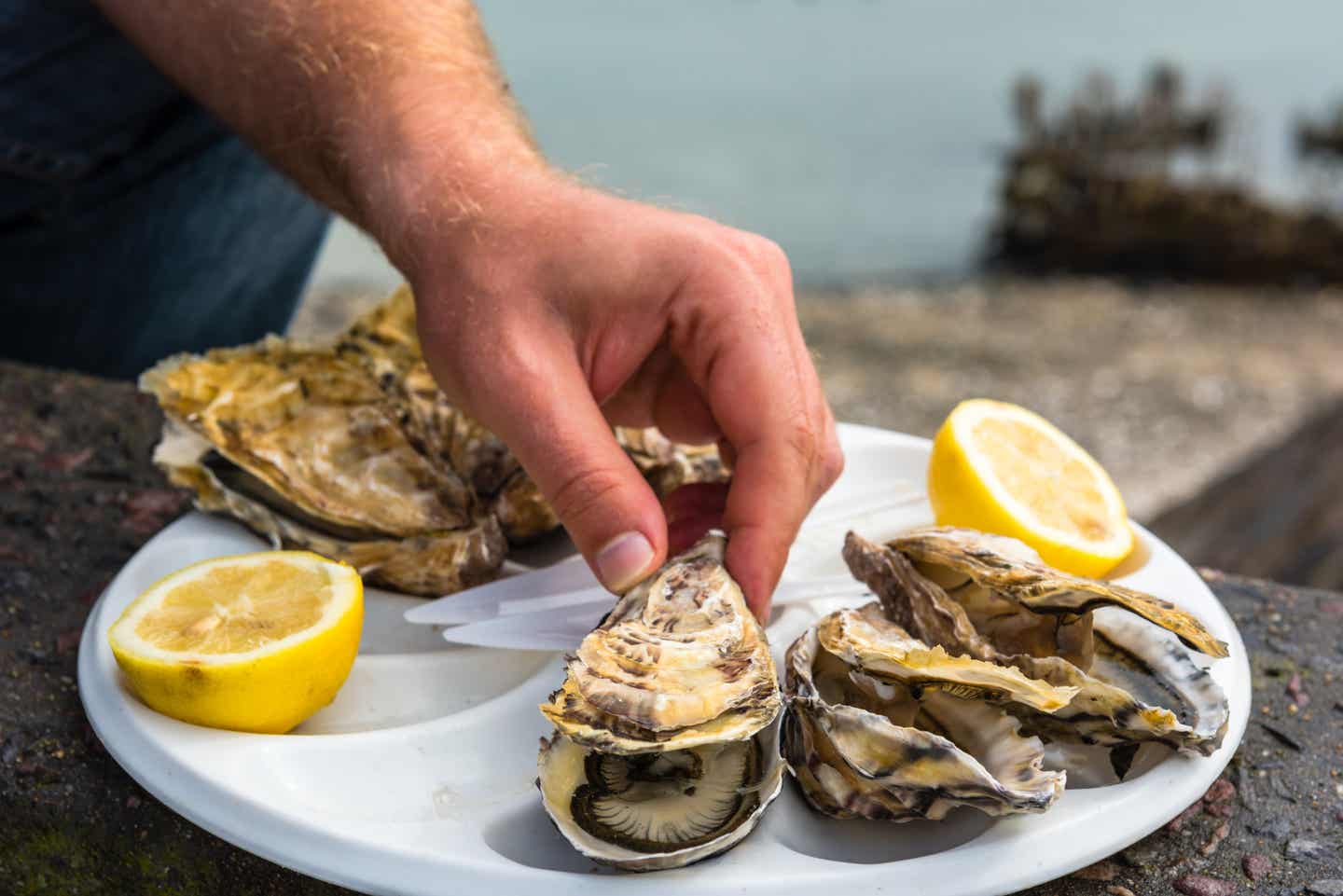 Urlaub in der Bretagne – frische Austern