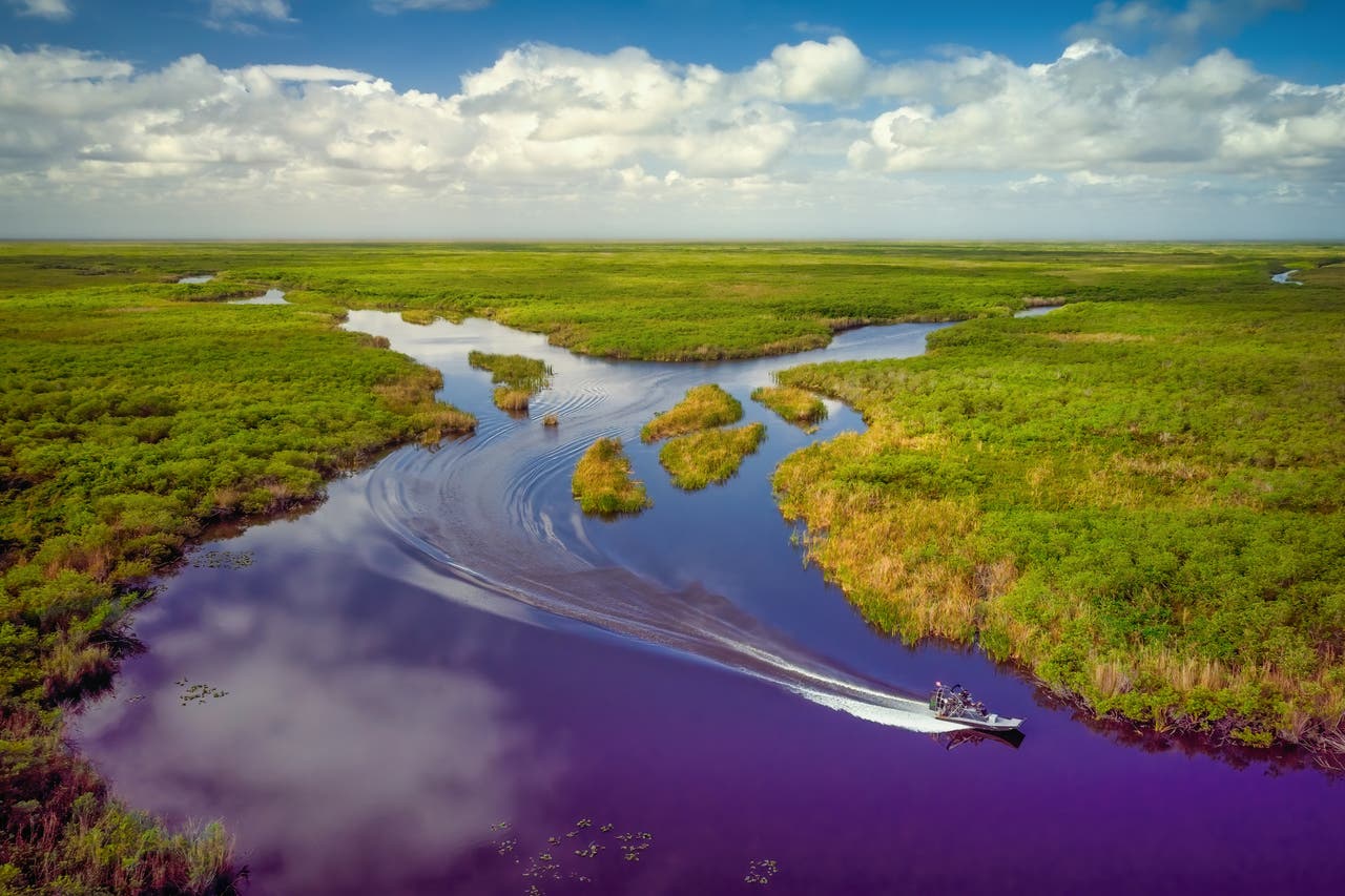 Everglades Tipps für den NationalparkBesuch DERTOUR