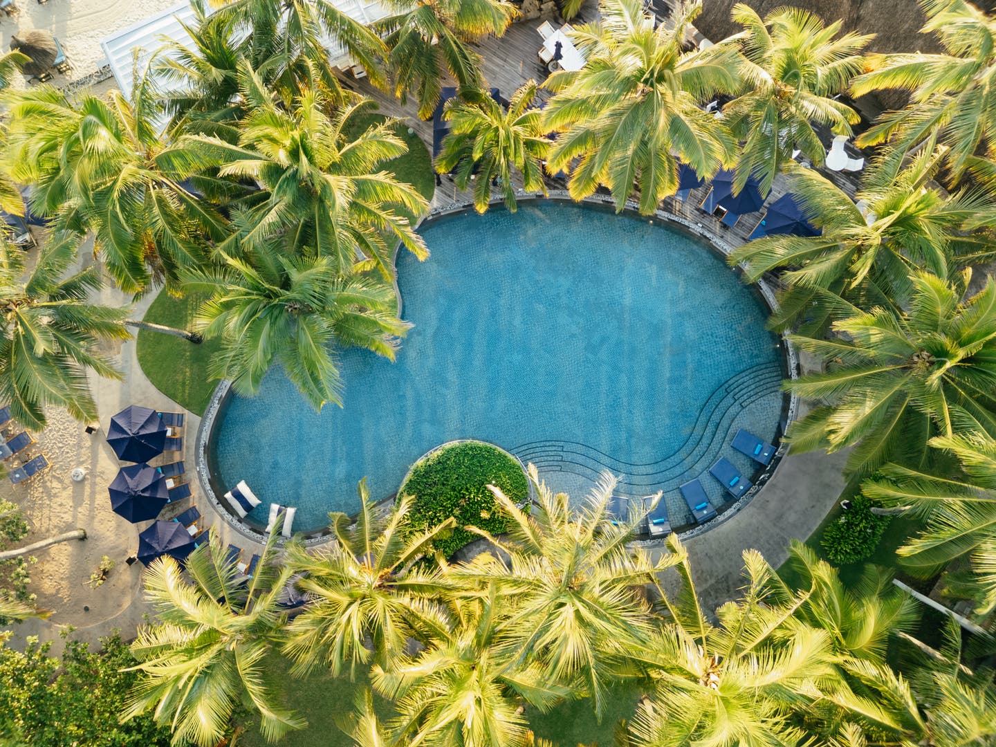 Top-Shot einer Drohne auf von Palmen umgebenen Pool des Hotels