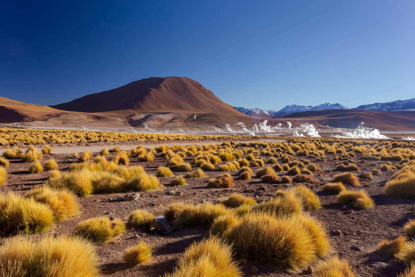 Unterwegs in der Atacama-Wüste