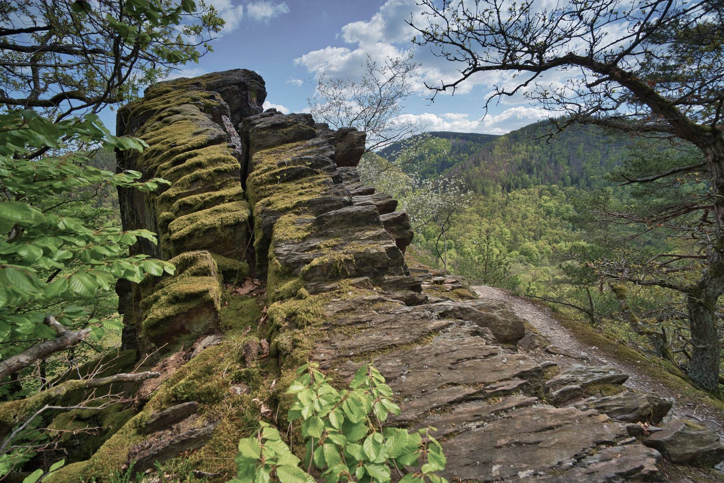 Thüringer Wald Urlaub mit DERTOUR. Felsen und Wald am Rennsteig im Thüringer Wald