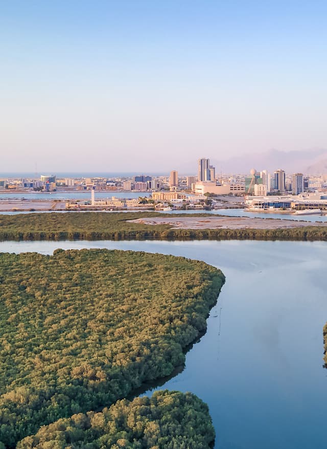 Alle Angebote in Ras Al Khaimah Ras Al Khaimah Skyline mit Mangroven